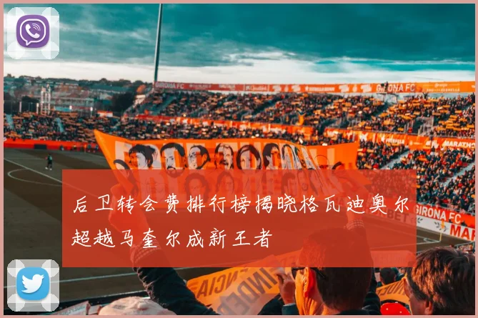 后卫转会费排行榜揭晓格瓦迪奥尔超越马奎尔成新王者