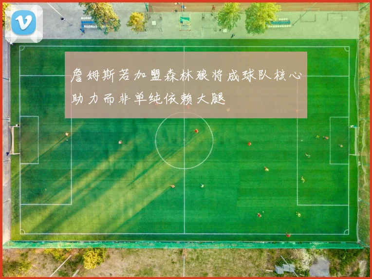 詹姆斯若加盟森林狼将成球队核心助力而非单纯依赖大腿